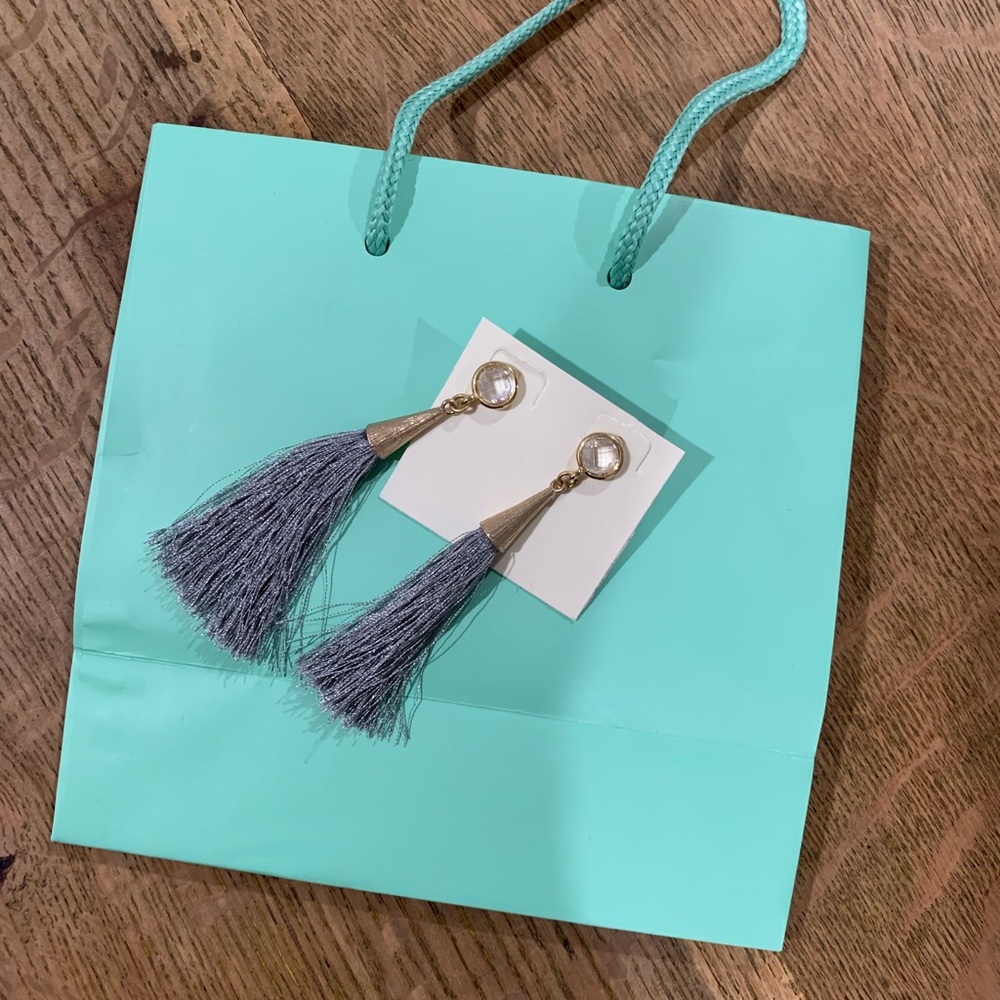 Tassel Earrings - NWOT